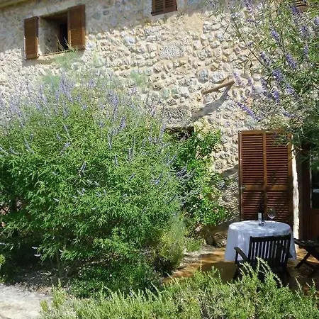 Son Olive * Selva (Mallorca)